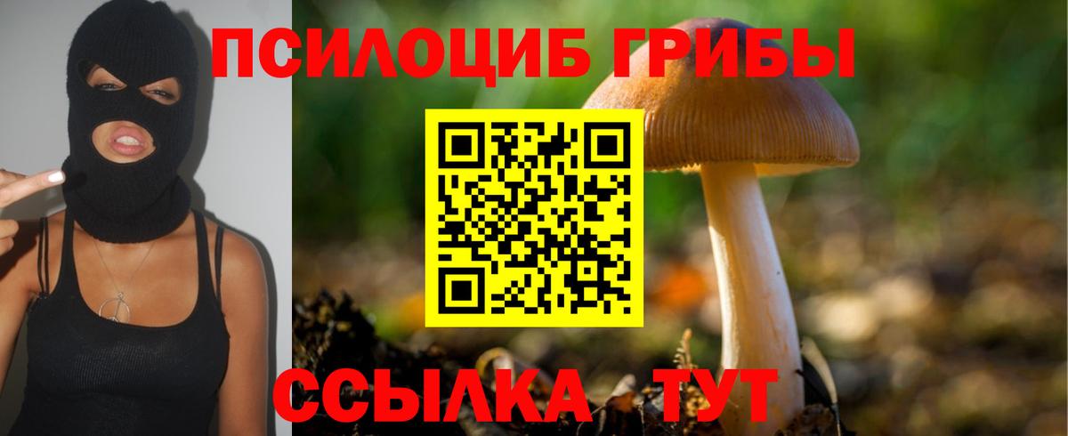 Псилоцибиновые грибы GOLDEN TEACHER  Вход с VPN  Псилоцибиновые грибы Psilocybe  Бугульма 